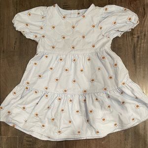Zara embroidered daisy dress
